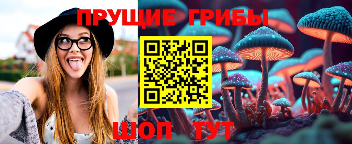 Арсеньев  Галлюциногенные грибы ЛСД  Вход с VPN 